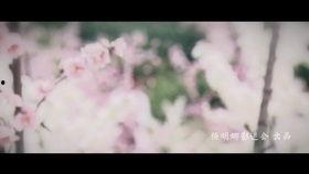 君不见在线视频,揭秘网络视频背后的故事与启示